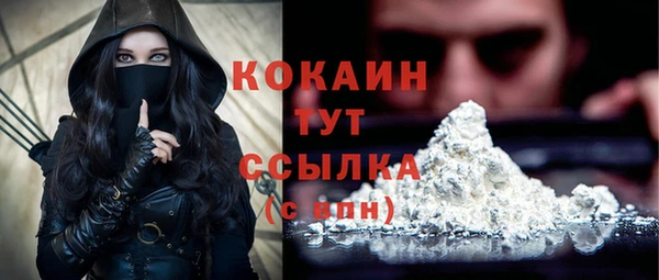 шишки Богданович