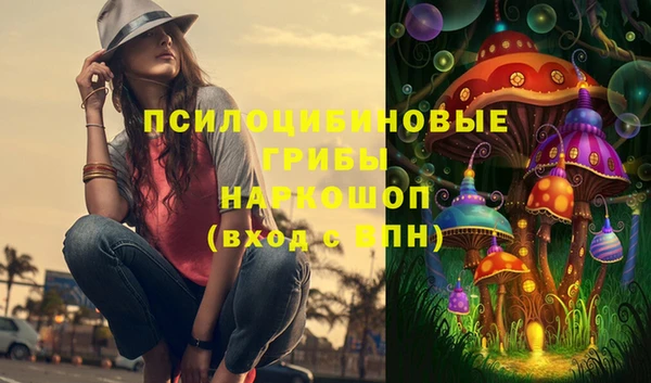 шишки Богданович