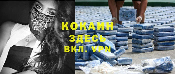 шишки Богданович