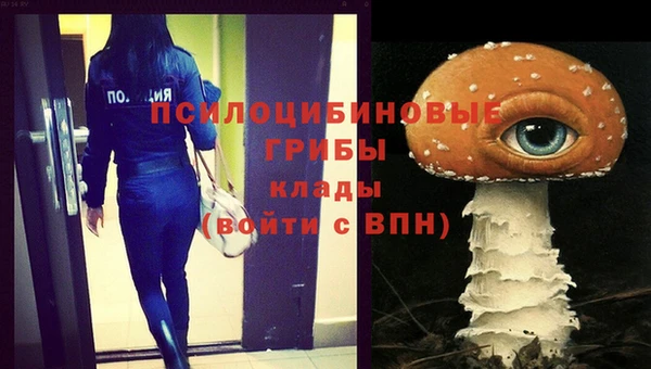 шишки Богданович