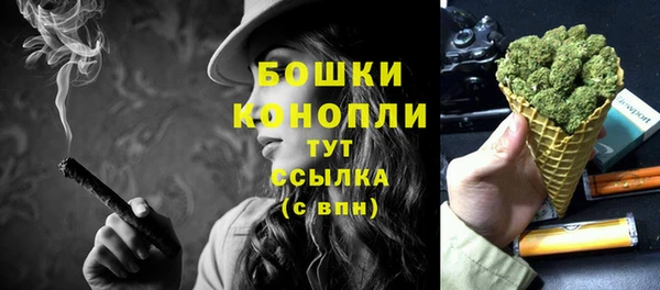 шишки Богданович