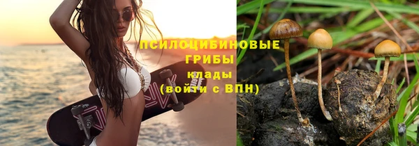 MDMA Premium VHQ Богородицк