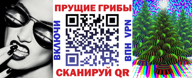 Галлюциногенные грибы мицелий  Ильский 